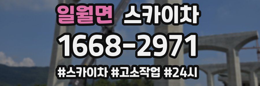 일월면 스카이차