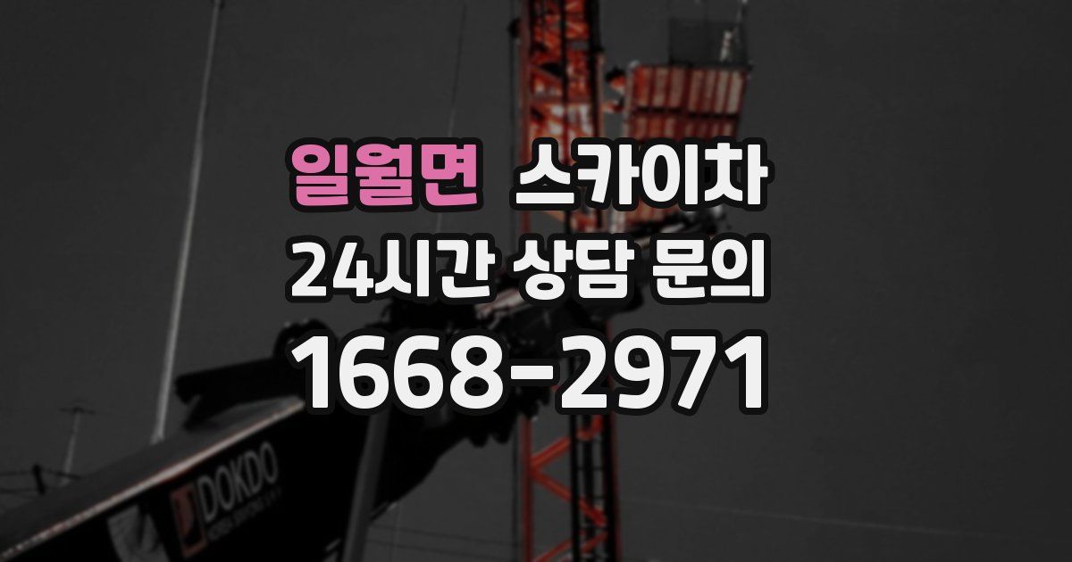 일월면 스카이차