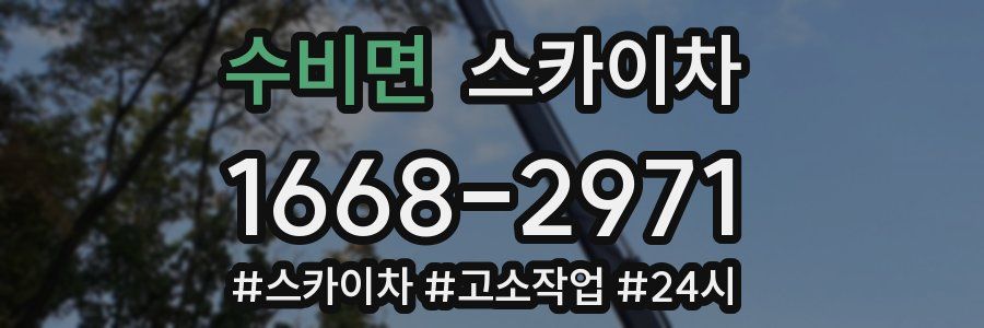 수비면 스카이차