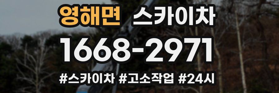 영해면 스카이차