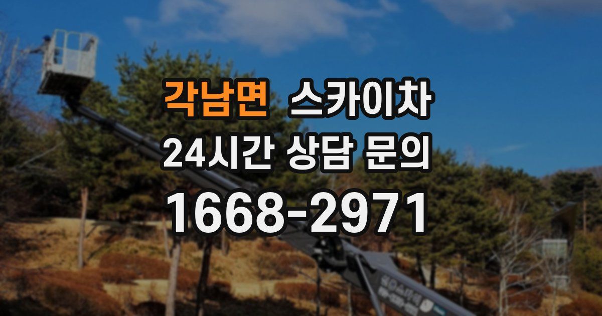 각남면 스카이차