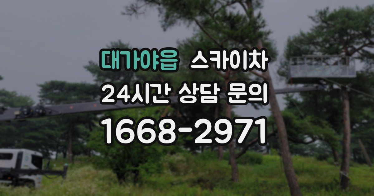 대가야읍 스카이차