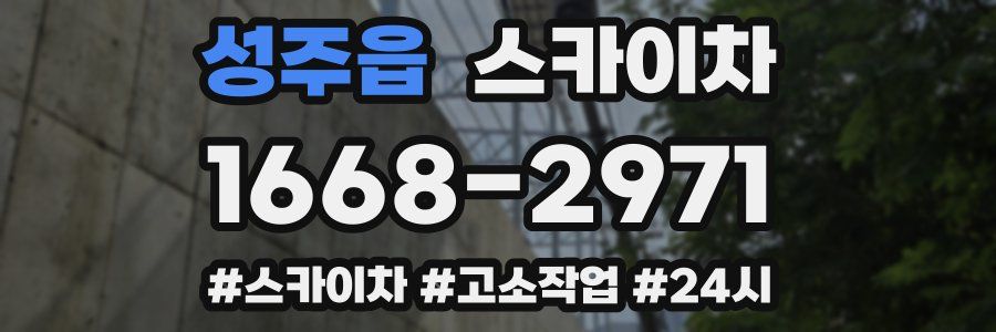 성주읍 스카이차