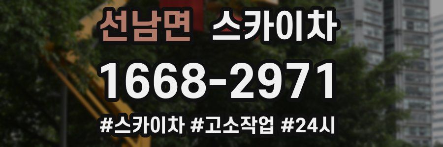 선남면 스카이차