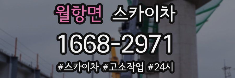 월항면 스카이차