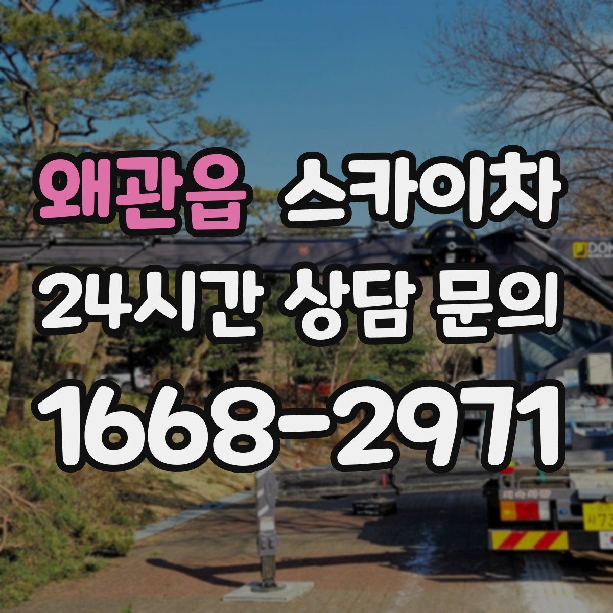 왜관읍 스카이차