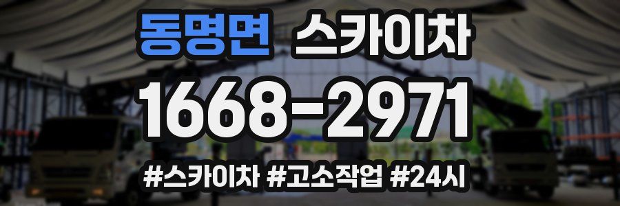 동명면 스카이차