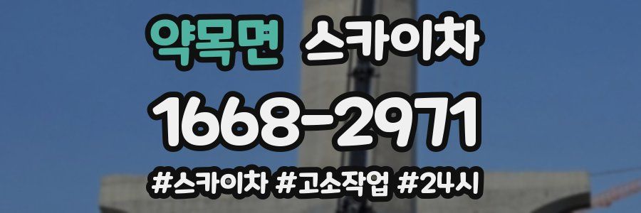 약목면 스카이차