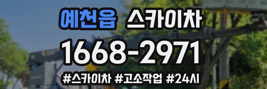 예천읍 스카이차