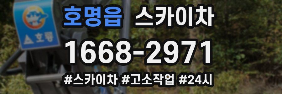 호명읍 스카이차