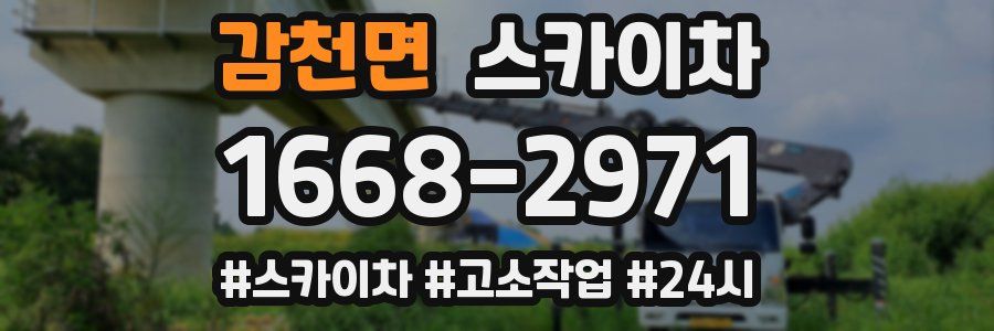 감천면 스카이차