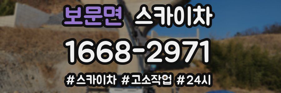 보문면 스카이차