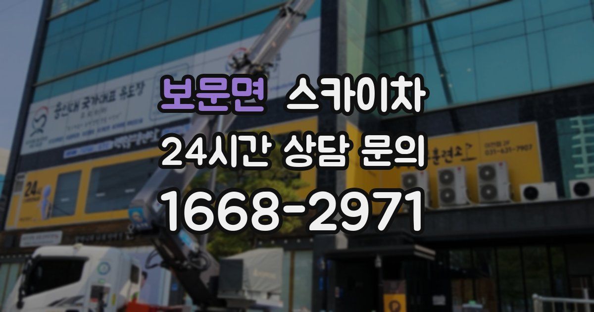 보문면 스카이차