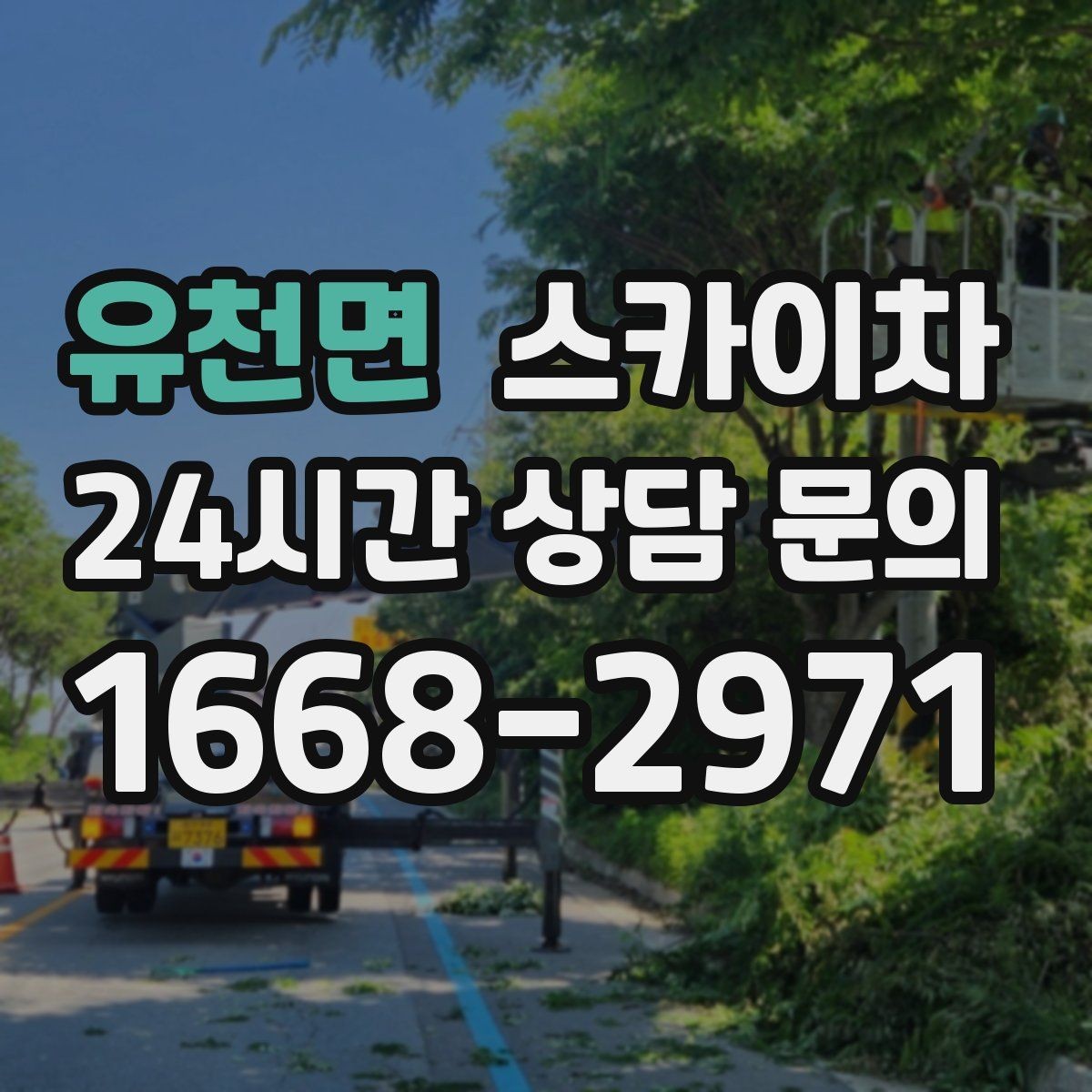 유천면 스카이차 급한 간판 수리도 일정 맞춰 진행