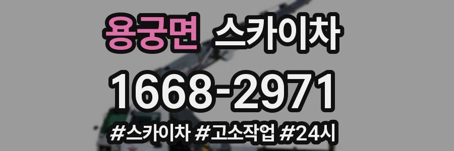 용궁면 스카이차