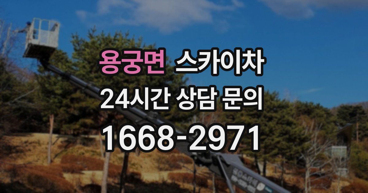 용궁면 스카이차