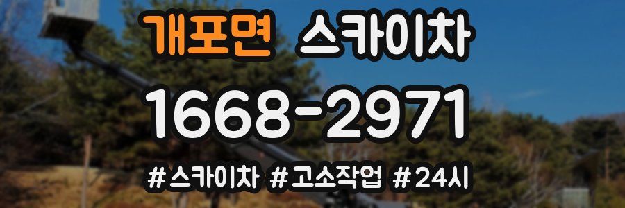 개포면 스카이차