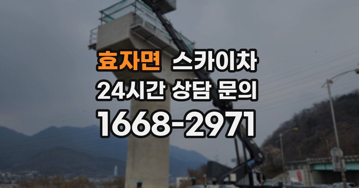 효자면 스카이차