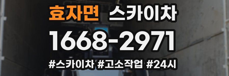 효자면 스카이차