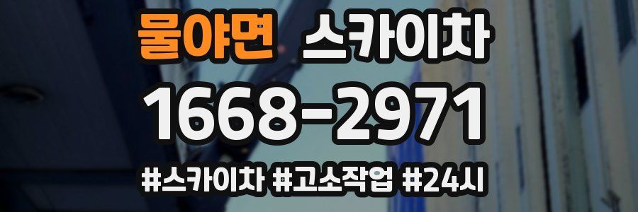 물야면 스카이차