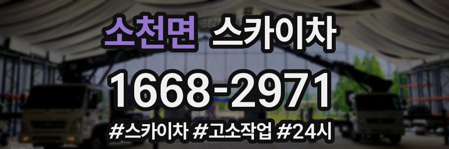 소천면 스카이차