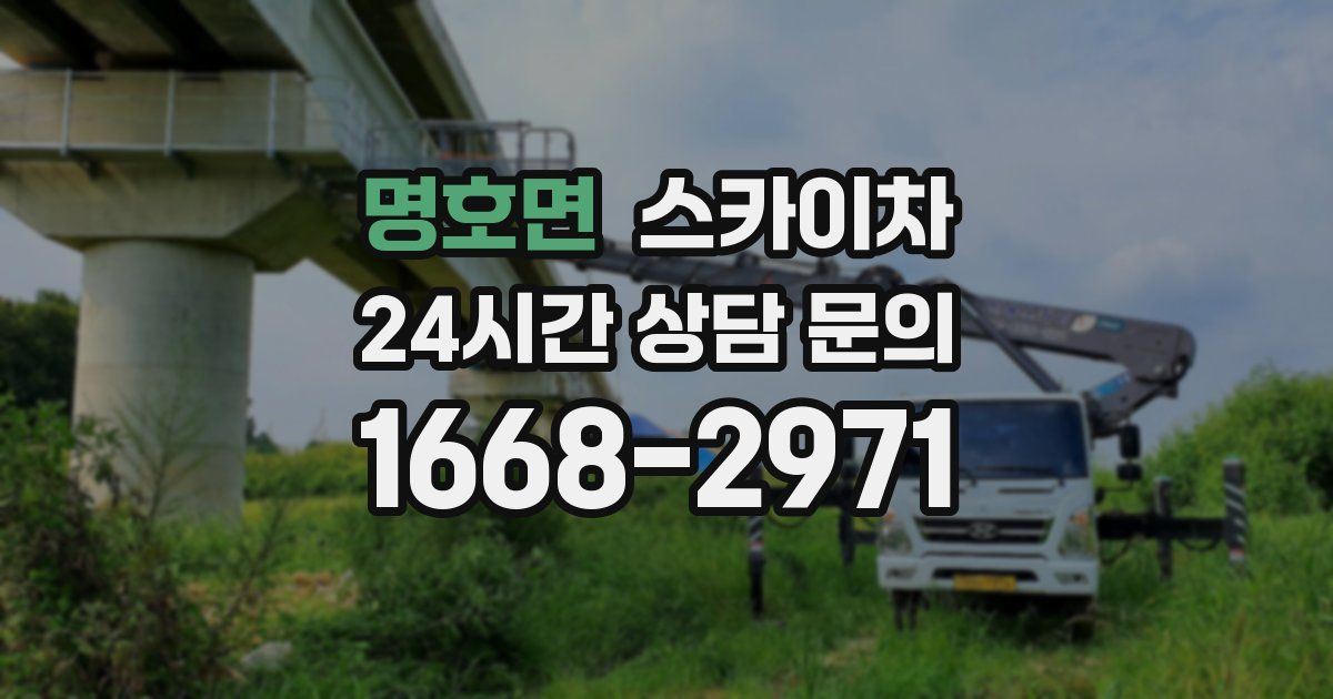 명호면 스카이차