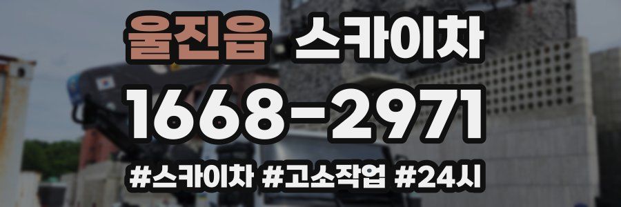 울진읍 스카이차