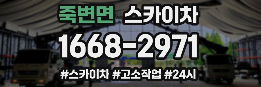 죽변면 스카이차