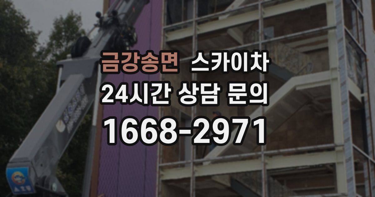 금강송면 스카이차