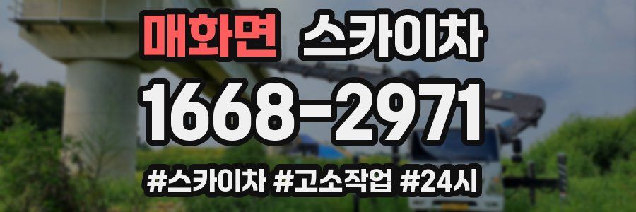 매화면 스카이차