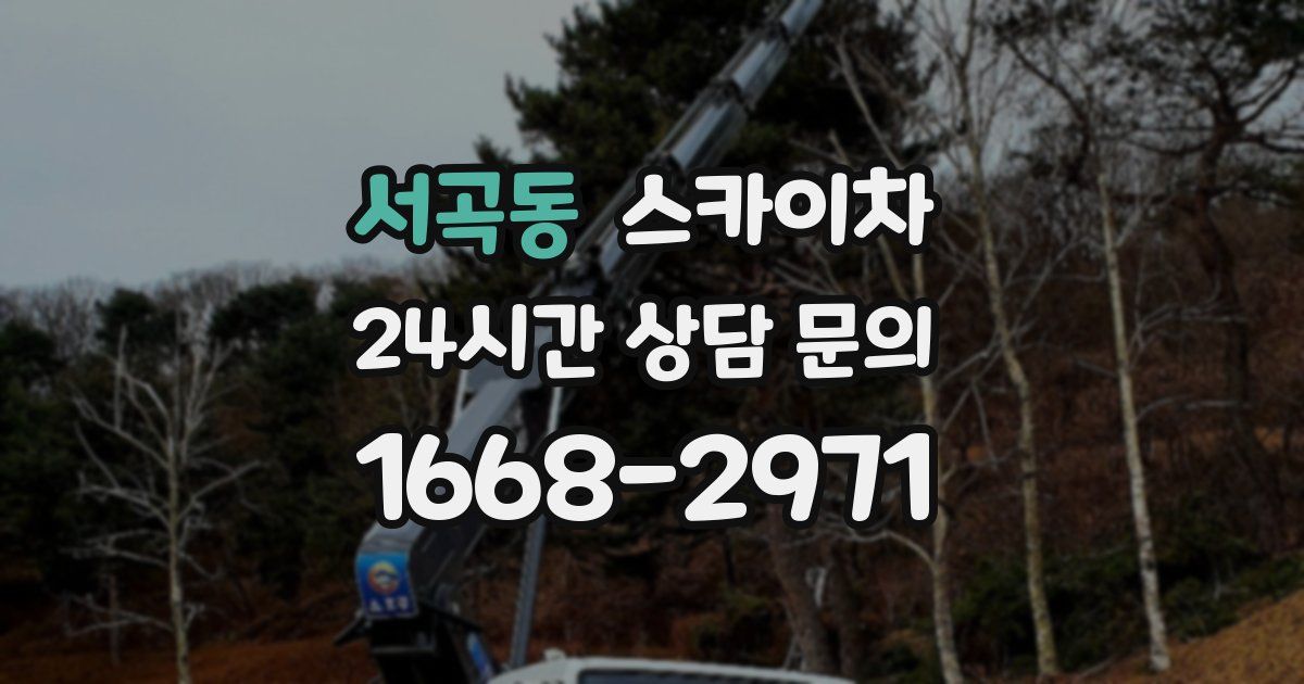 서곡동 스카이차