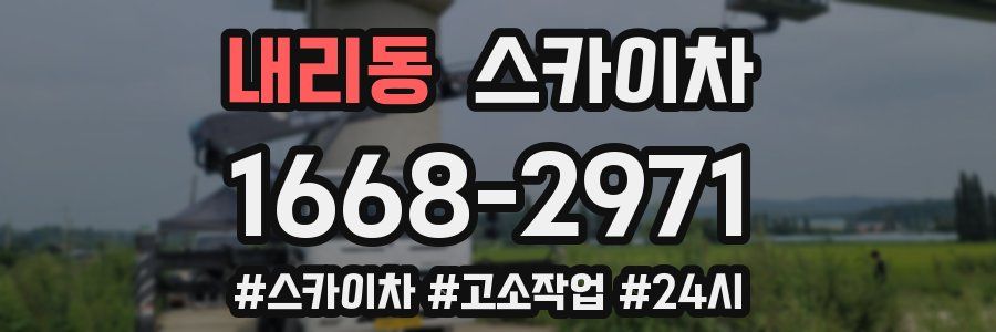 내리동 스카이차