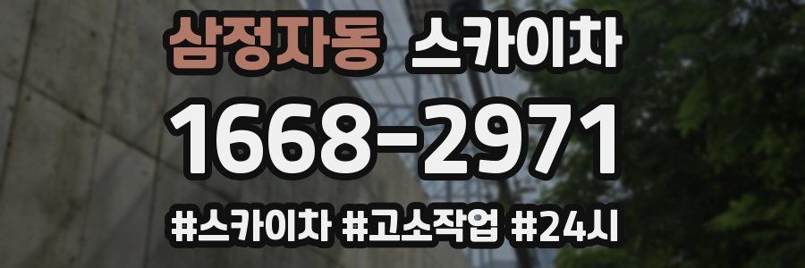 삼정자동 스카이차