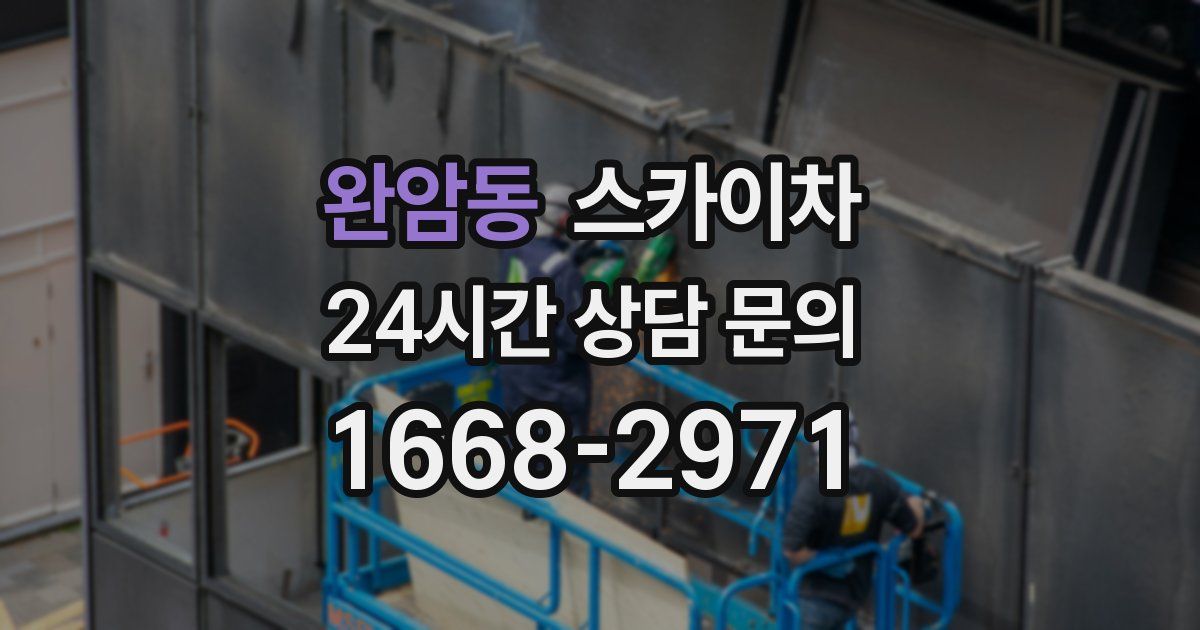 완암동 스카이차