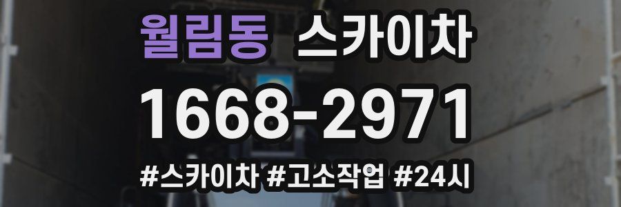 월림동 스카이차