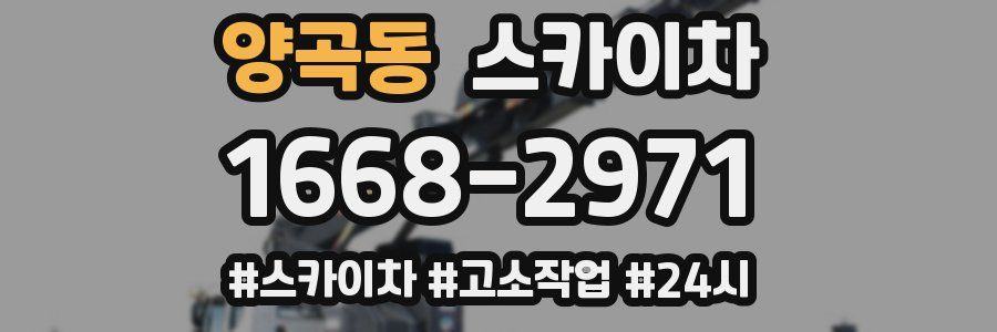 양곡동 스카이차