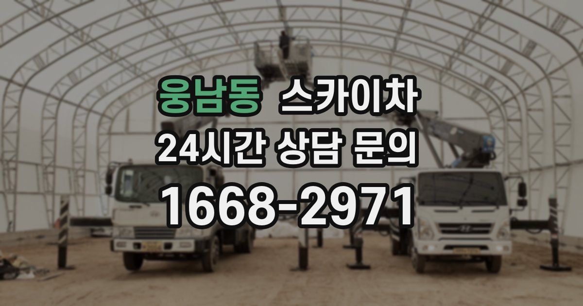 웅남동 스카이차