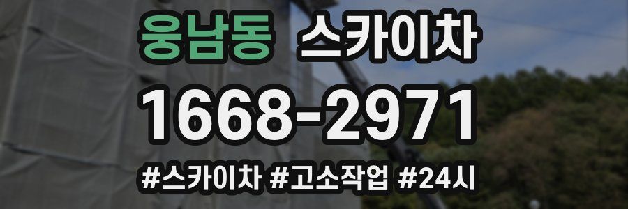 웅남동 스카이차