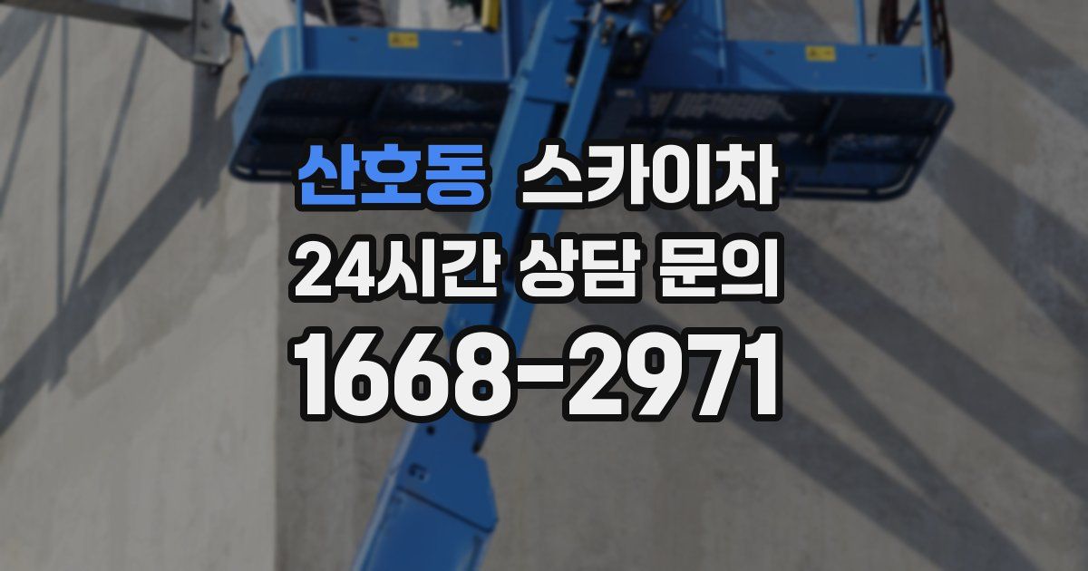 산호동 스카이차