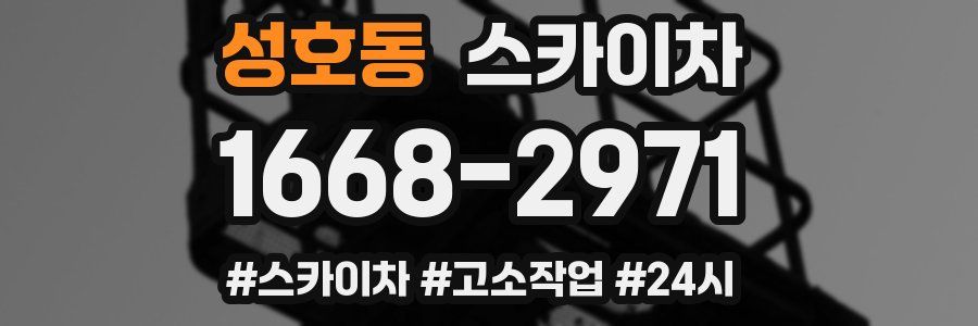 성호동 스카이차