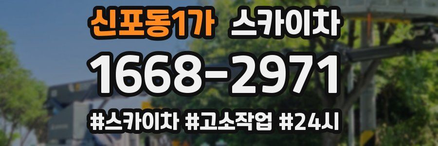 신포동1가 스카이차
