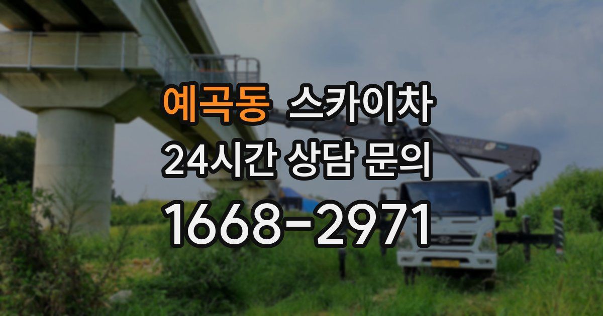 예곡동 스카이차