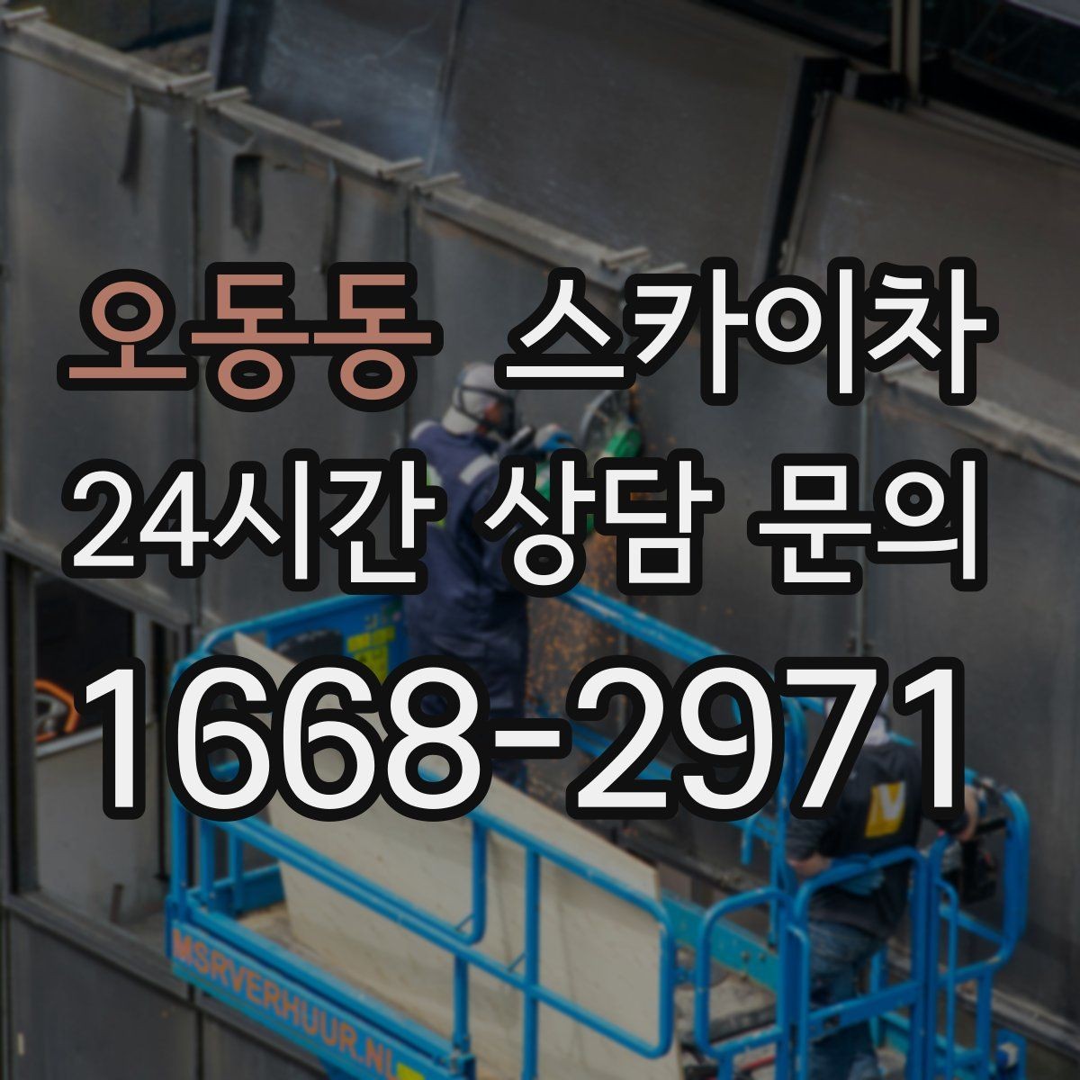오동동 스카이차 나무 가지 전정 작업에 활용하는 방법