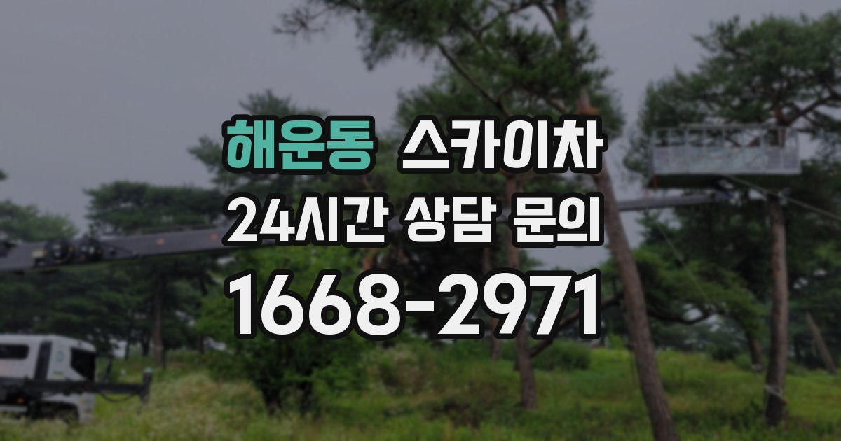 해운동 스카이차