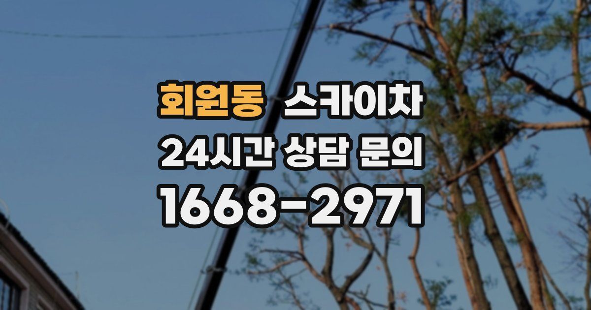 회원동 스카이차