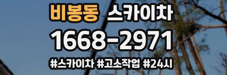 비봉동 스카이차