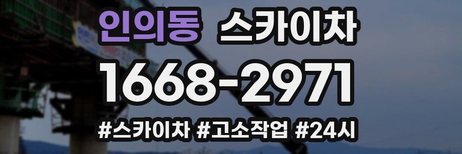 인의동 스카이차