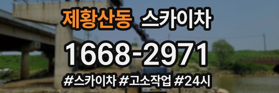 제황산동 스카이차