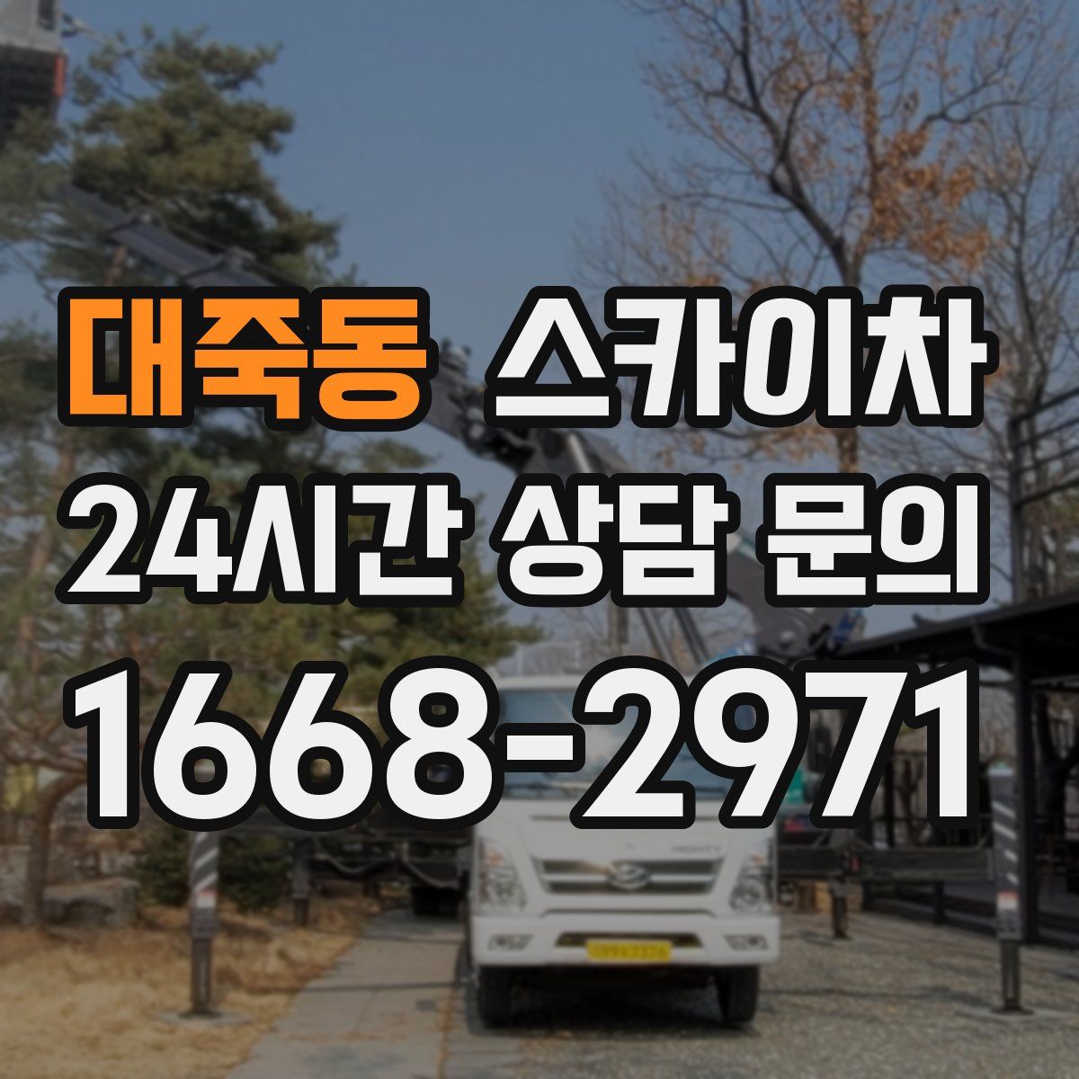 대죽동 스카이차