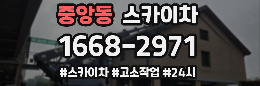 중앙동 스카이차